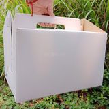  Hộp đựng gà 29.5x17.5cm (cao 22cm) 