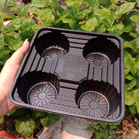 Khay nhựa đựng ly 4 ngăn đen 1018