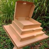  Hộp giấy pizza 24x24x4.5cm 