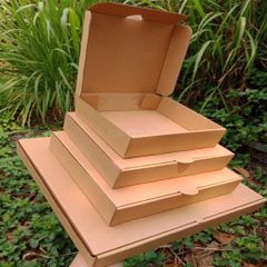  Hộp giấy pizza 20x20x4.5cm 