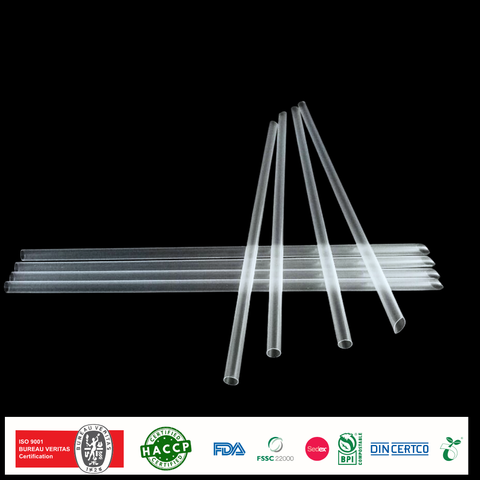  Ống hút nhựa nhọn PP 6-21 trong bọc màng BOPP 