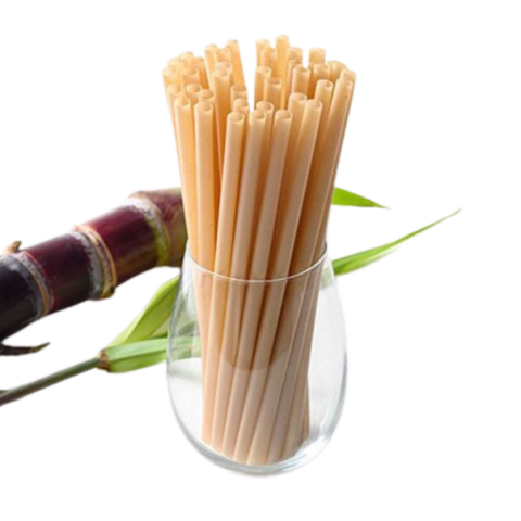  Ống hút bã mía PLA phi 6x160mm 