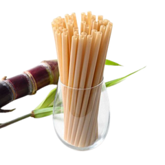  Ống hút bã mía PLA phi 6x160mm 