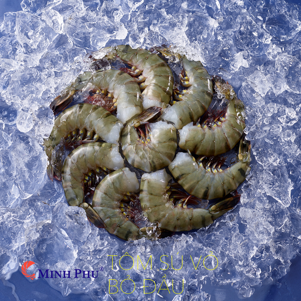  Tôm Sú Vỏ Bỏ Đầu - BT R. HLSO - Size 21/25 - Túi 1kg 