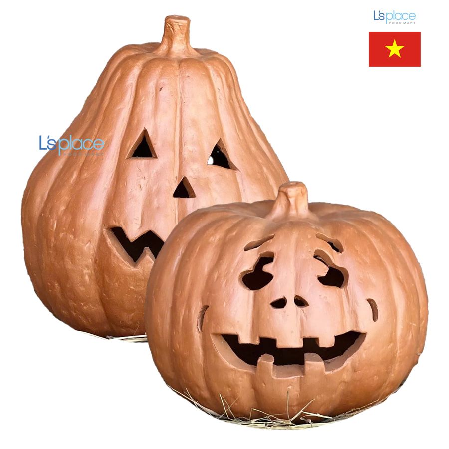 Bí khổng lồ Đất nung PK02 - PK01