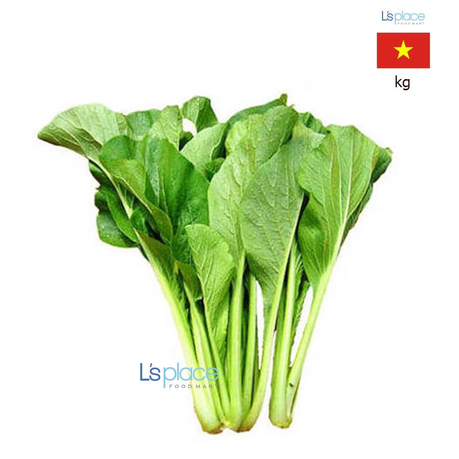 Biggreen cải ngọt