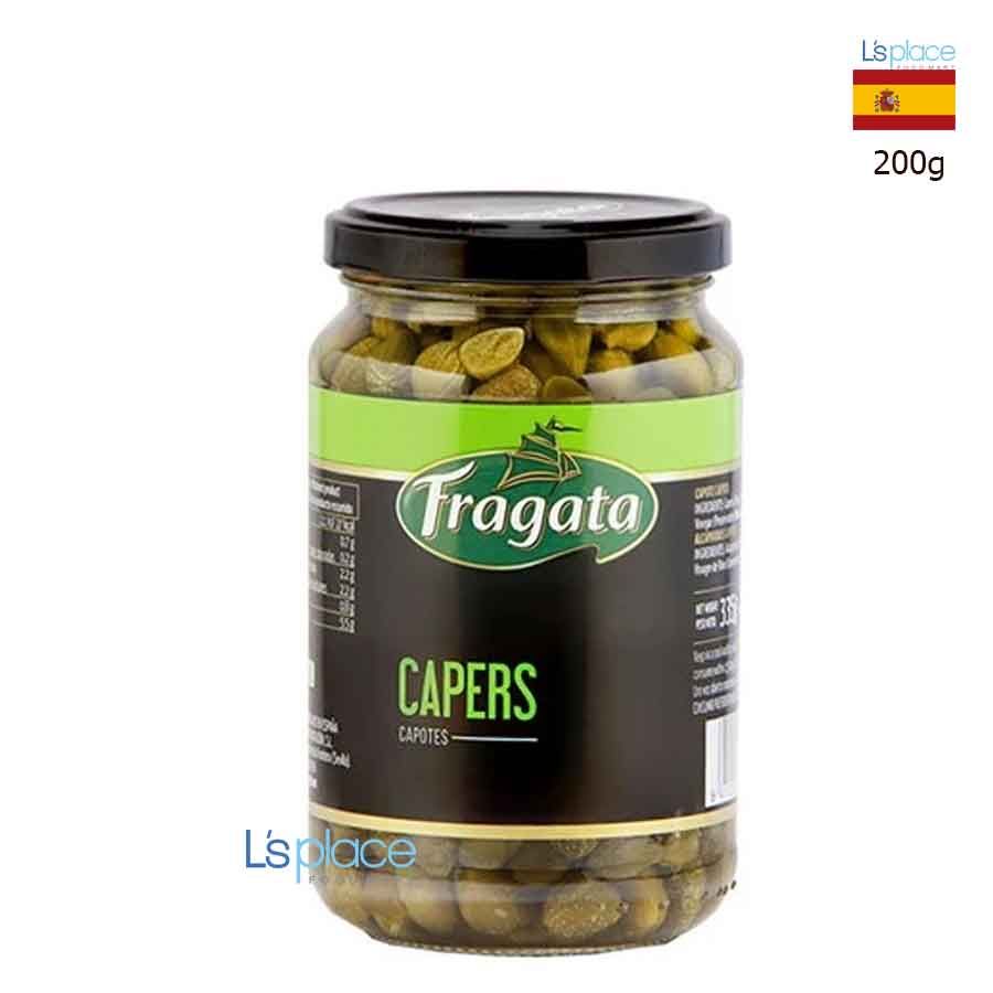 Fragata Nụ Bạch Hoa