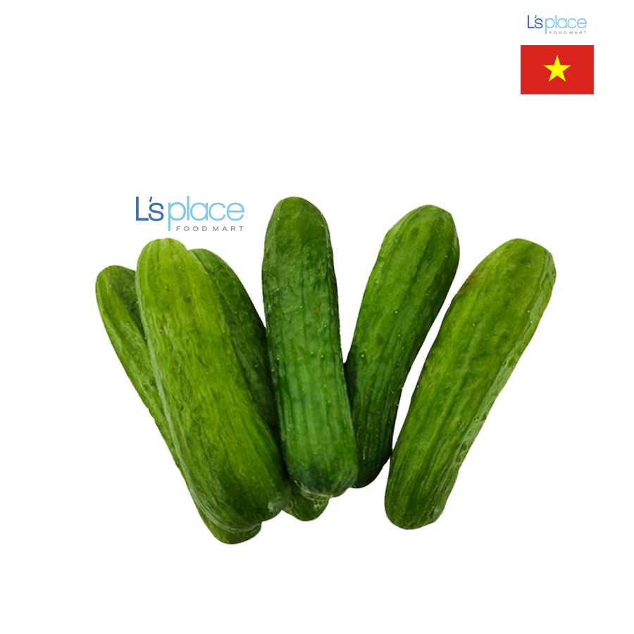 Biggreen dưa chuột bao tử