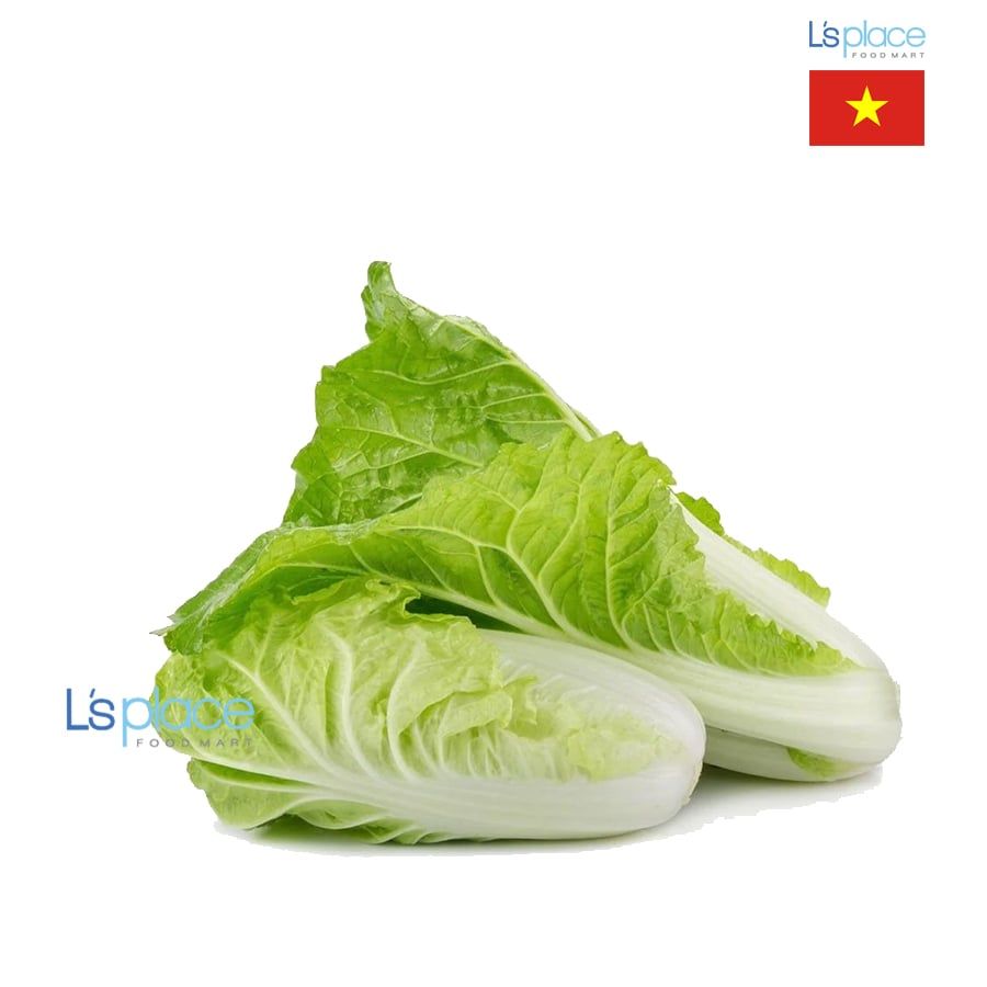 Thaieco Cải thảo