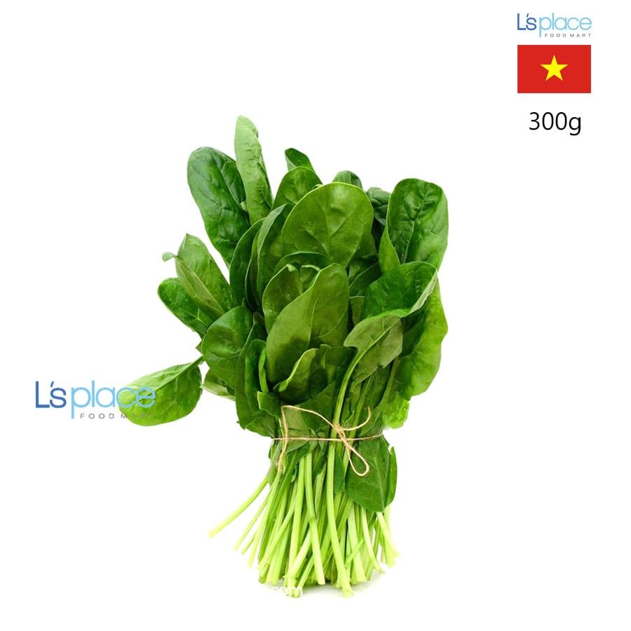 Thaieco Cải bó xôi baby