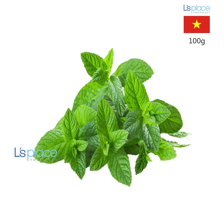 Thaieco Rau bạc hà