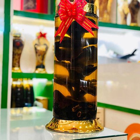 Bình Rượu Nấm Lim Xanh Rừng Tự Nhiên 5,5 Lít