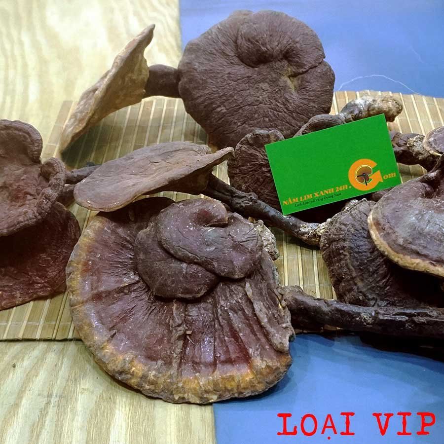  Nấm Lim Xanh Rừng Quảng Nam Loại VIP 