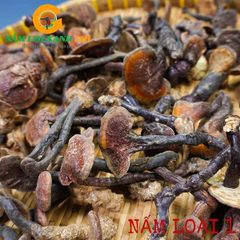 Nấm Lim Xanh Rừng Quảng Nam Loại 1