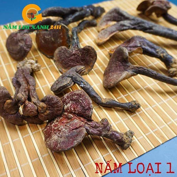  Nấm Lim Xanh Rừng Quảng Nam Loại 1 