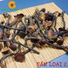 Nấm Lim Xanh Rừng Quảng Nam Loại 2