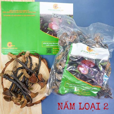 Nấm Lim Xanh Rừng Quảng Nam Loại 2