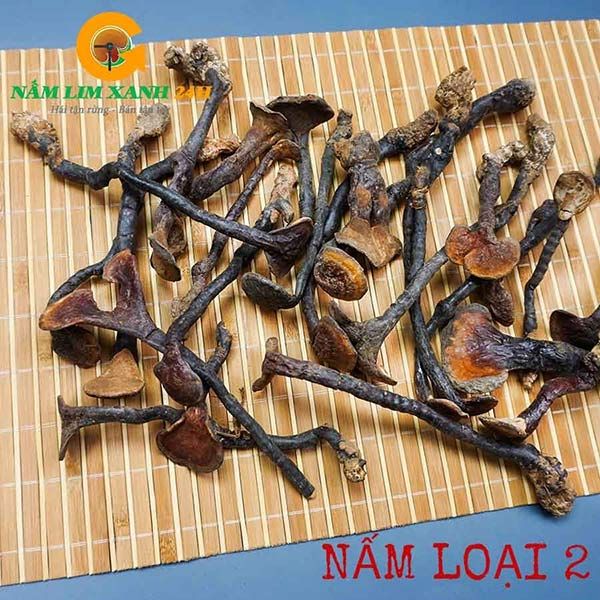  Nấm Lim Xanh Rừng Quảng Nam Loại 2 