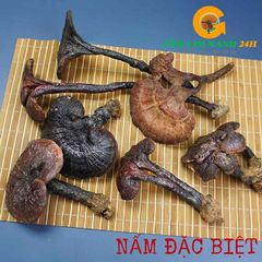 Nấm Lim Xanh Rừng Quảng Nam Loại Đặc Biệt