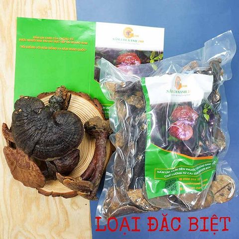 Nấm Lim Xanh Rừng Quảng Nam Loại Đặc Biệt