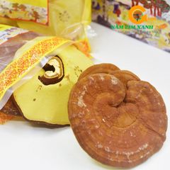 Nấm Linh Chi Imsil Deadong Hàn Quốc Hộp 1kg