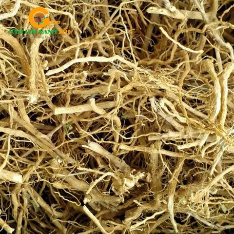 Rễ Cây Cà Gai Leo Khô Gói 1kg