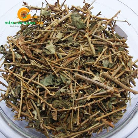 Thân Cà Gai Leo Khô Gói 1kg