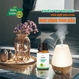  [Miễn phí] Lọ Tinh dầu Thiên Nhiên Areiwa 10ml - Khử Mùi Toilet, Quần Áo, Xông Phòng - Mùi ngẫu nhiên 