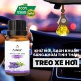  [Miễn phí] Lọ Tinh dầu Thiên Nhiên Areiwa 10ml - Khử Mùi Hôi Xe, Tạo Mùi Thơm x Dùng được mọi máy xông - Mùi ngẫu nhiên 