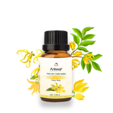  Tinh dầu cao cấp Nano Areiwa 100% thiên nhiên - Nguyên chất, an toàn, hương thơm bền lâu - Chai 10ml 