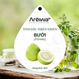 Lọ treo tinh dầu cao cấp 5ml - Diệt khuẩn, khử mùi hôi, chống say xe, lưu hương lâu bền 