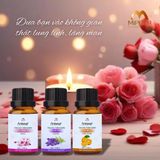  Combo 3 chai Tinh dầu Thiên Nhiên cao cấp Areiwa 10ml x3  - Diệt khuẩn, khử mùi hôi, chống say xe, lưu hương lâu bền - 3 ngẫu nhiên 