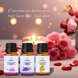  [HMK] Combo 3 chai Tinh dầu cao cấp 10ml x3 - Diệt khuẩn, khử mùi hôi, chống say xe, lưu hương lâu bền - 3 mùi ngẫu nhiên 