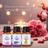  [HMK] Combo 3 chai Tinh dầu cao cấp 10ml x3 - Diệt khuẩn, khử mùi hôi, chống say xe, lưu hương lâu bền - 3 mùi ngẫu nhiên 
