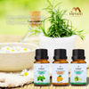  Combo 3 chai Tinh dầu Thiên Nhiên cao cấp Areiwa 10ml x3  - Diệt khuẩn, khử mùi hôi, chống say xe, lưu hương lâu bền - 3 ngẫu nhiên 