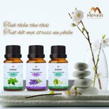  Combo 3 chai Tinh dầu Thiên Nhiên cao cấp Areiwa 10ml x3  - Diệt khuẩn, khử mùi hôi, chống say xe, lưu hương lâu bền - 3 ngẫu nhiên 