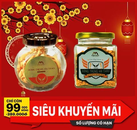  [HMK] Trải nghiệm Đông Trùng Hạ Thảo Vikings chỉ 99.000đ - Sấy Thăng hoa - Hoạt chất cao 