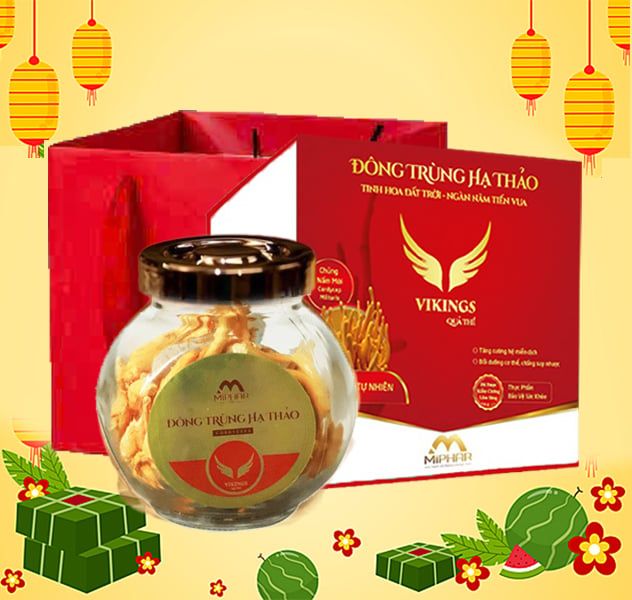  [Tết] Quà Tặng Cao Cấp Hộp Đông Trùng Hạ Thảo Vikings Daily - Hoạt chất cao - Tăng cường sức đề kháng, Kéo dài tuổi thọ, phục hồi chức năng gan thận 