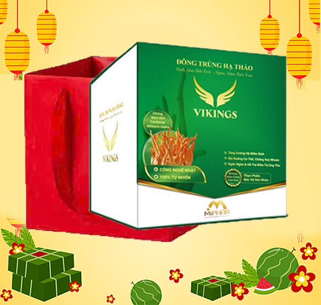  [HMK] Túi + Hộp Quà tặng đựng sản phẩm Đông Trùng Hạ Thảo (Túi đỏ + Hộp xanh) 