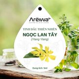  Lọ treo tinh dầu cao cấp 5ml - Diệt khuẩn, khử mùi hôi, chống say xe, lưu hương lâu bền 