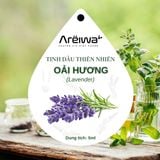  Lọ treo tinh dầu cao cấp 5ml - Diệt khuẩn, khử mùi hôi, chống say xe, lưu hương lâu bền 