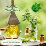  [Miễn phí] Lọ Tinh dầu treo xe hơi cao cấp Areiwa 5ml - Diệt khuẩn, khử mùi hôi, chống say xe, lưu hương lâu bền - Mùi ngẫu nhiên 