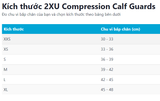  Bó ống chân 2XU Elite MCS Compression Calf Guards 