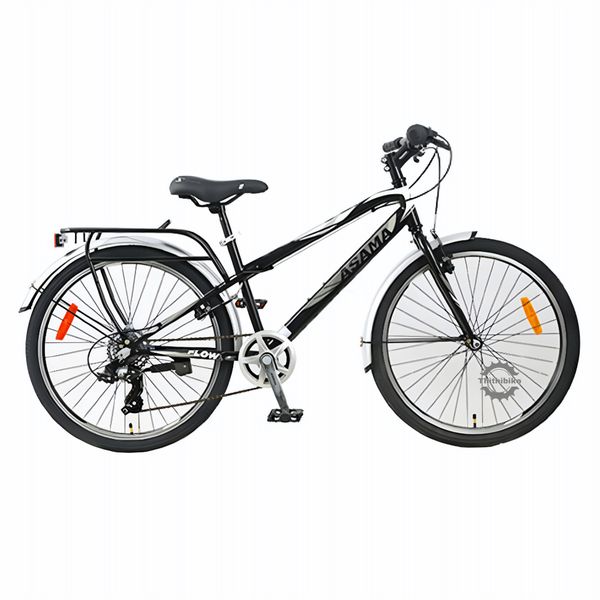 Xe đạp thể thao ASAMA TRK FL2401