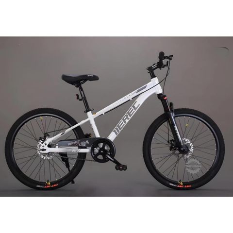 Xe đạp thể thao Herec không đề