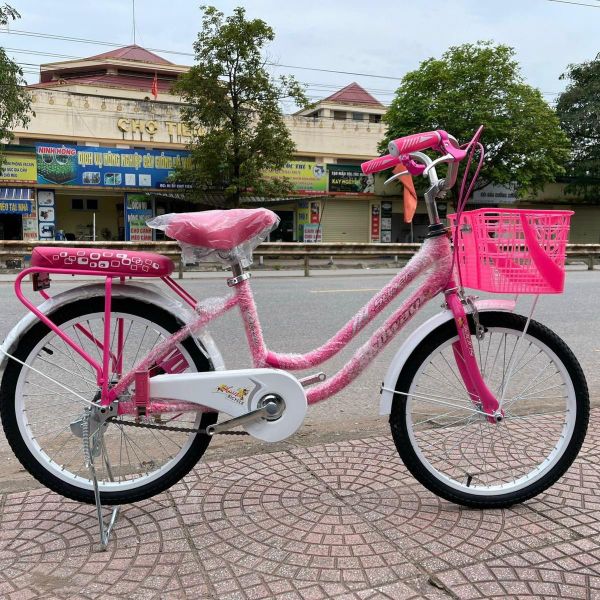 Xe đạp mini Size 20 và 24