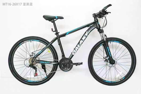 Xe đạp thể thao Galaxy ML200 SIZE 24