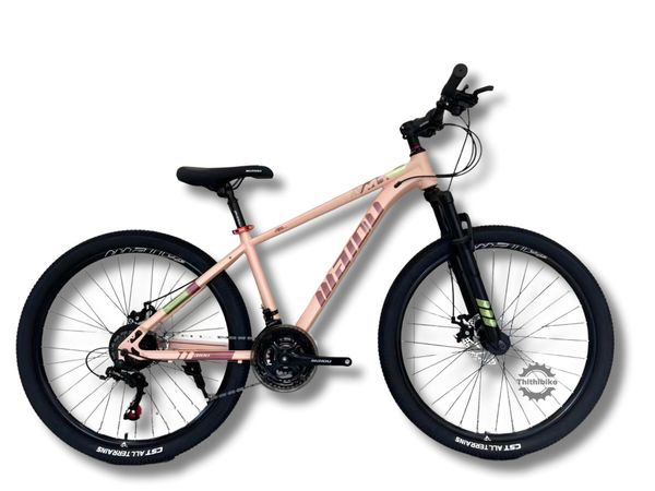 Xe đạp BAIDU MT01