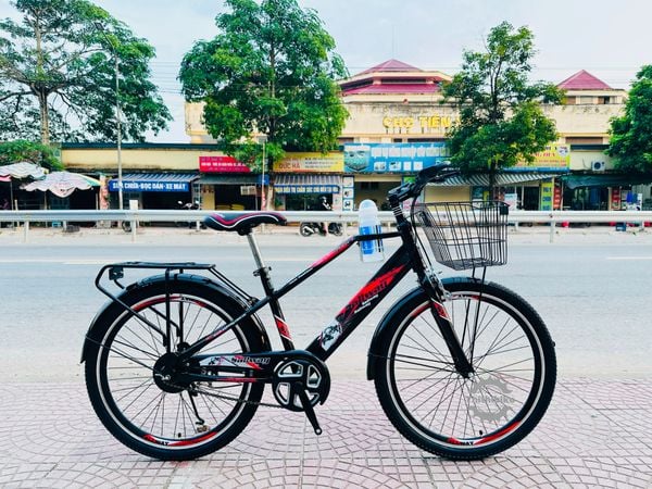 Xe đạp địa hình SWN01