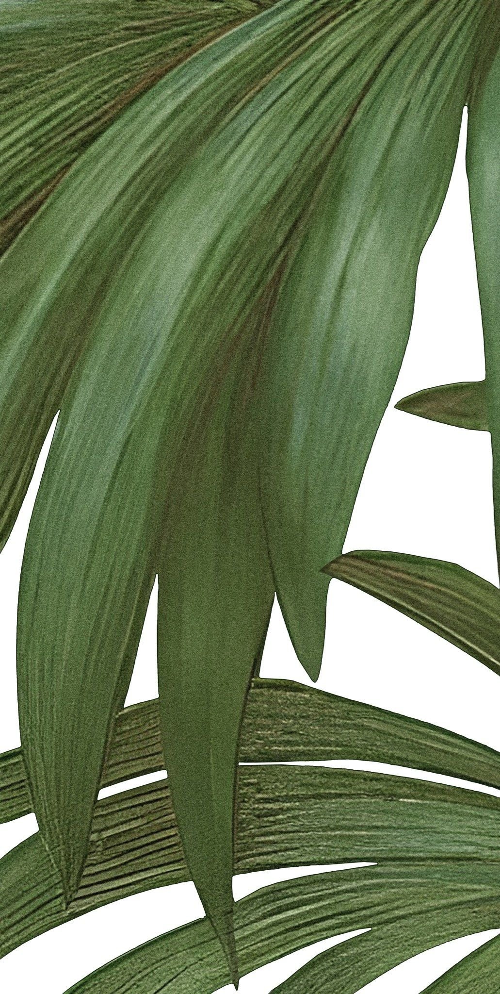  Gạch in hoạ tiết Tropical Leaves 